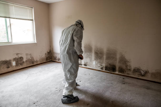 Water Damage Restoration in Savanna, IL